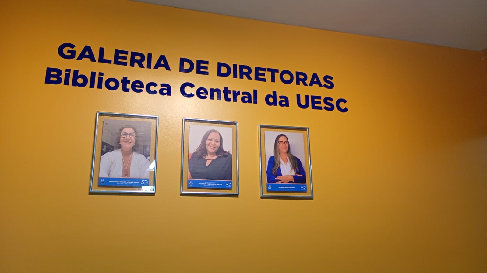 Aniversário 50 anos