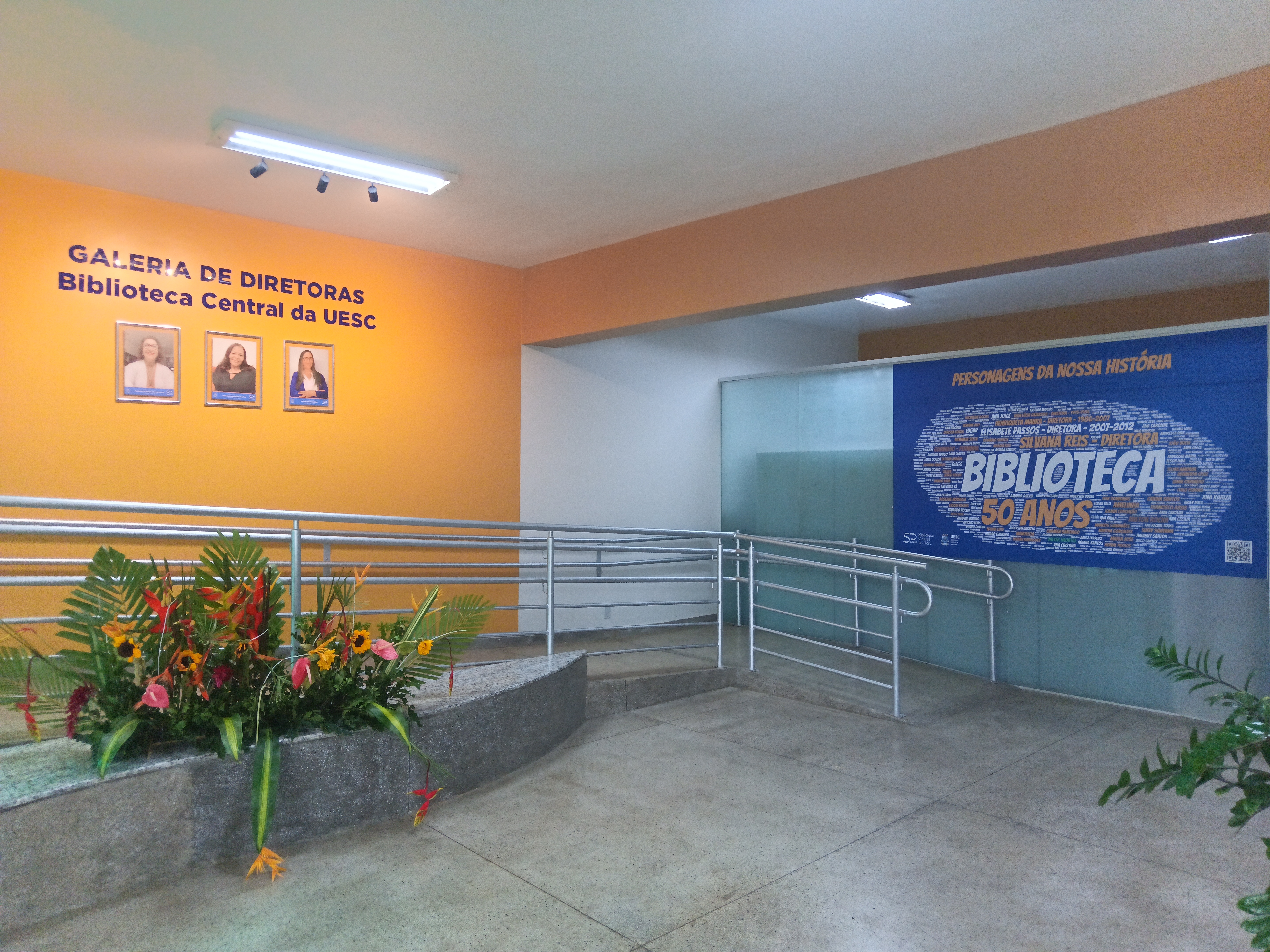 Aniversário 50 anos