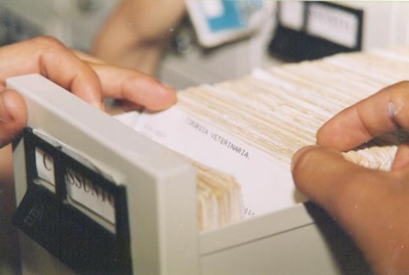 Fichas Catalográficas