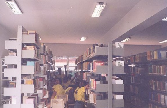Organização Nova Biblioteca