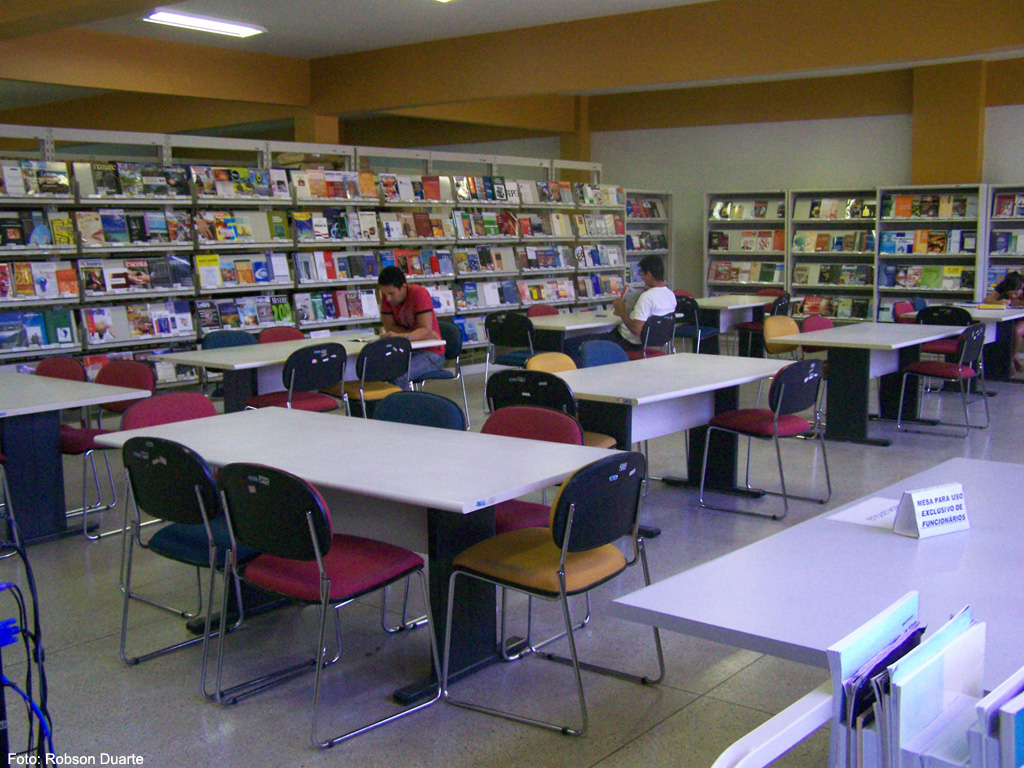 Artigo sobre repositórios institucionais